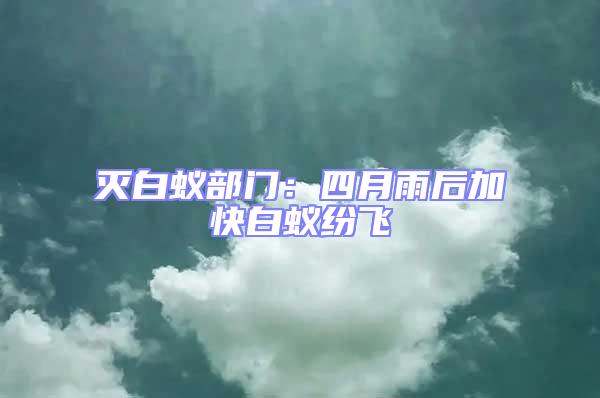 滅白蟻部門:四月雨后加快白蟻紛飛