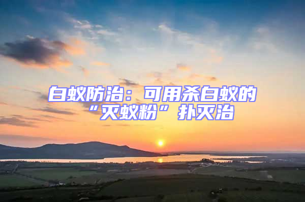 白蟻防治:可用殺白蟻的“滅蟻粉”撲滅治