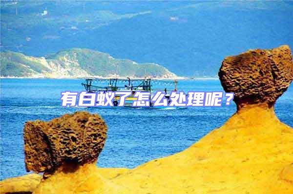 有白蟻了怎么處理呢？