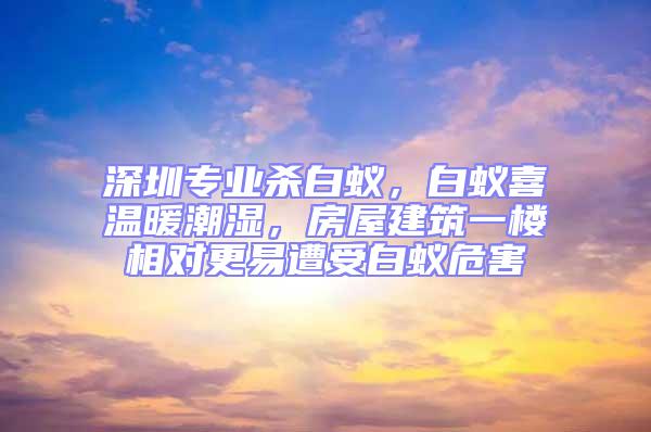 深圳專業殺白蟻,白蟻喜溫暖潮濕,房屋建筑一樓相對更易遭受白蟻危害
