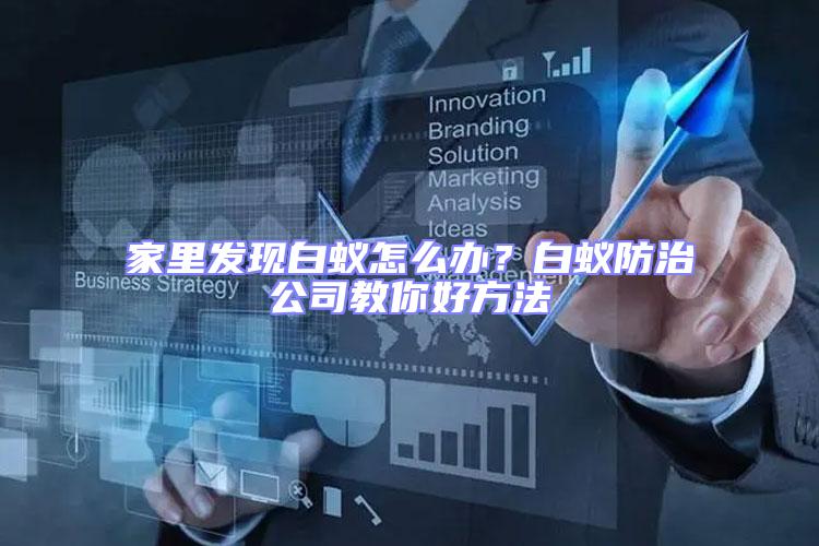 家里發(fā)現(xiàn)白蟻怎么辦?白蟻防治公司教你好方法