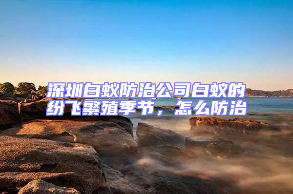 深圳白蟻防治公司白蟻的紛飛繁殖季節,怎么防治