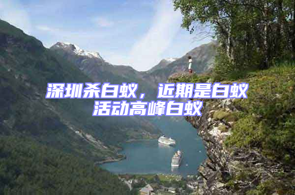深圳殺白蟻,近期是白蟻活動高峰白蟻