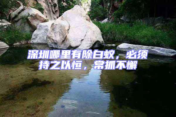 深圳哪里有除白蟻,必須持之以恒,常抓不懈