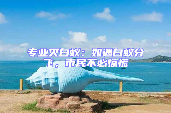 專業滅白蟻:如遇白蟻分飛,市民不必驚慌