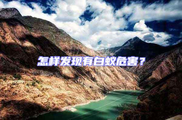 怎樣發現有白蟻危害?
