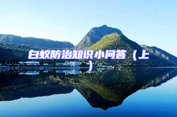 白蟻防治知識小問答(上)