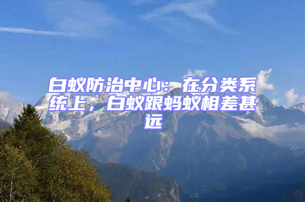 白蟻防治中心:在分類系統上,白蟻跟螞蟻相差甚遠