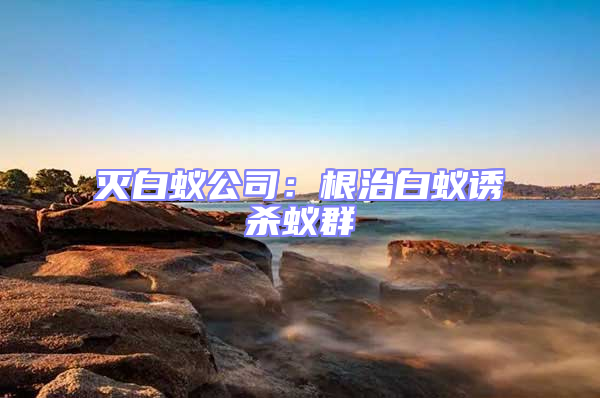 滅白蟻公司:根治白蟻誘殺蟻群