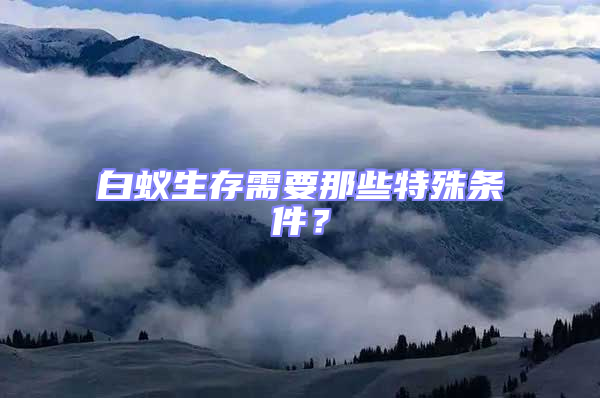 白蟻生存需要那些特殊條件?