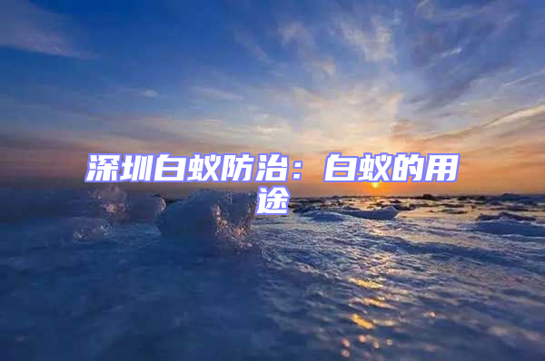 深圳白蟻防治:白蟻的用途