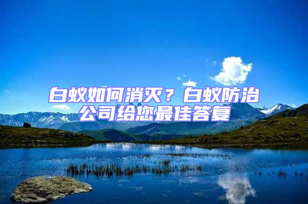 白蟻如何消滅？白蟻防治公司給您最佳答復