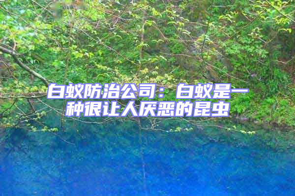 白蟻防治公司:白蟻是一種很讓人厭惡的昆蟲