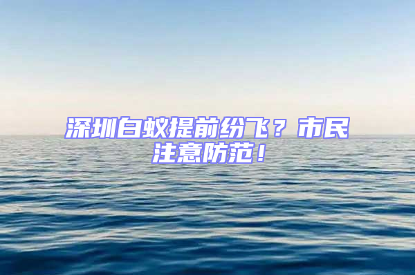 深圳白蟻提前紛飛?市民注意防范!