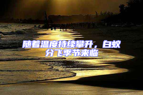 隨著溫度持續(xù)攀升,白蟻分飛季節(jié)來臨
