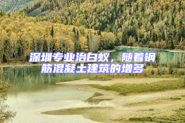 深圳專業治白蟻,隨著鋼筋混凝土建筑的增多
