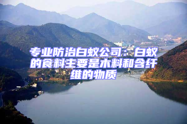 專業防治白蟻公司:白蟻的食料主要是木料和含纖維的物質