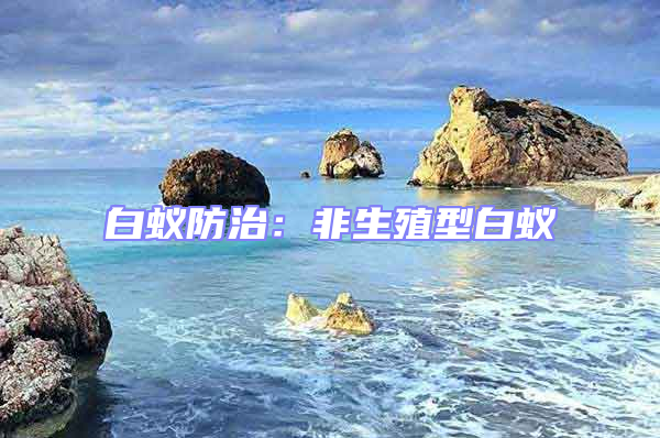 白蟻防治:非生殖型白蟻