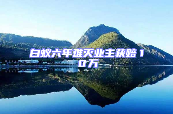 白蟻六年難滅業主獲賠10萬