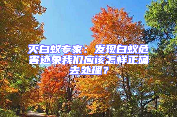 滅白蟻專家：發現白蟻危害跡象我們應該怎樣正確去處理？