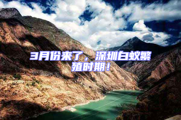 3月份來了,深圳白蟻繁殖時(shí)期!
