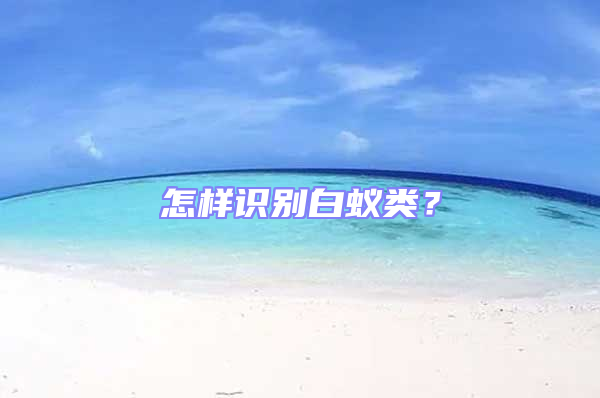 怎樣識別白蟻類?