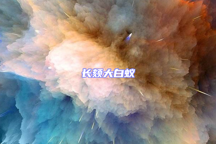 長頦大白蟻