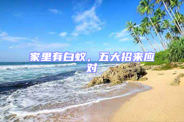 家里有白蟻,五大招來應對