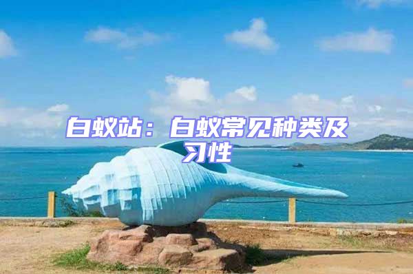 白蟻站:白蟻常見(jiàn)種類(lèi)及習(xí)性