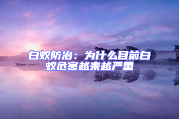 白蟻防冶:為什么目前白蟻危害越來越嚴重