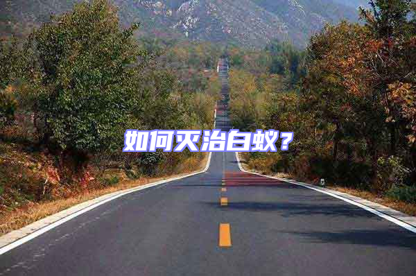 如何滅治白蟻?