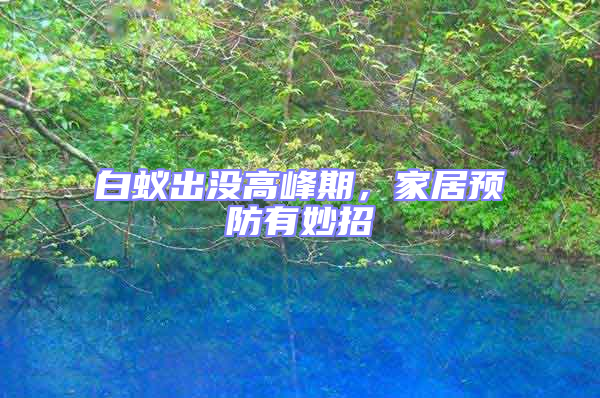 白蟻出沒高峰期,家居預防有妙招