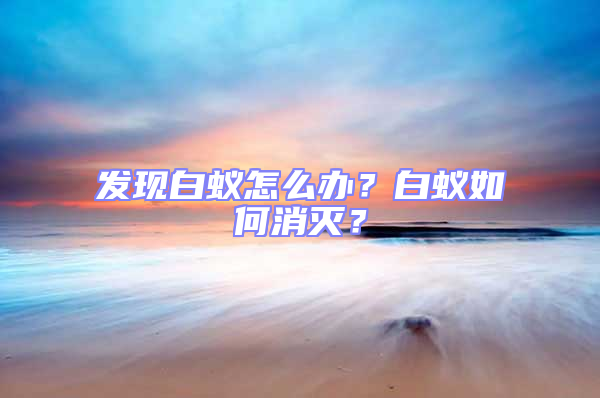 發(fā)現(xiàn)白蟻怎么辦?白蟻如何消滅?