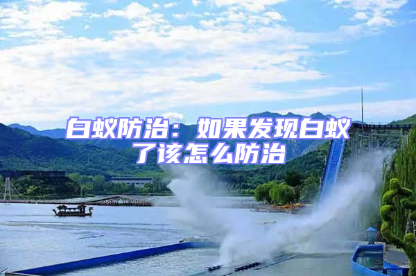 白蟻防治:如果發(fā)現白蟻了該怎么防治