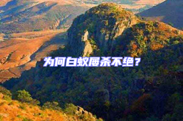 為何白蟻屢殺不絕？