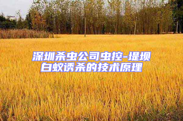 深圳殺蟲公司蟲控-堤壩白蟻誘殺的技術(shù)原理