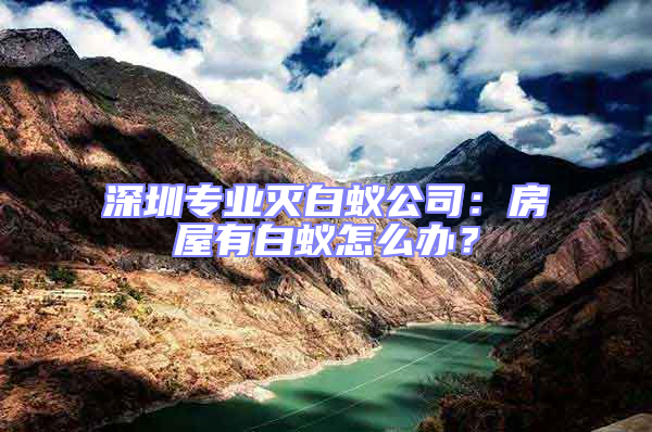 深圳專業(yè)滅白蟻公司:房屋有白蟻怎么辦?