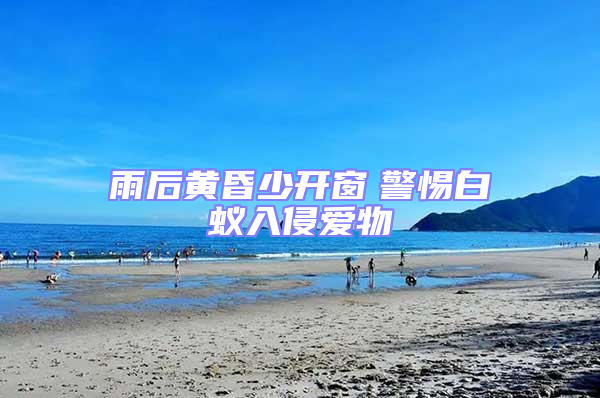 雨后黃昏少開窗 警惕白蟻入侵愛物