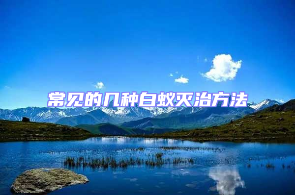 常見(jiàn)的幾種白蟻滅治方法