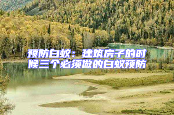 預防白蟻:建筑房子的時候三個必須做的白蟻預防