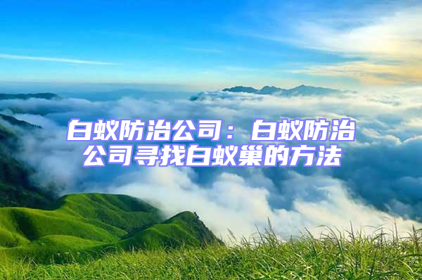 白蟻防治公司:白蟻防治公司尋找白蟻巢的方法