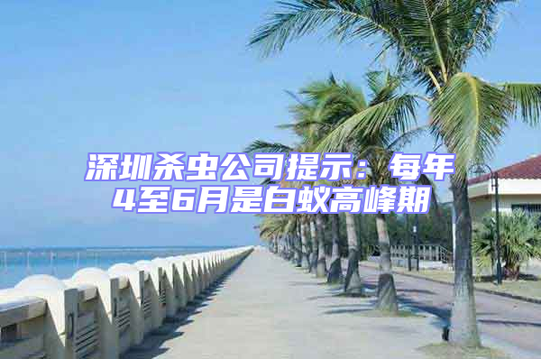 深圳殺蟲公司提示:每年4至6月是白蟻高峰期