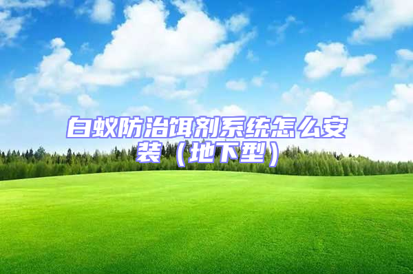白蟻防治餌劑系統怎么安裝(地下型)