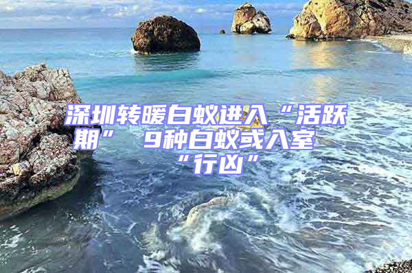 深圳轉(zhuǎn)暖白蟻進入“活躍期” 9種白蟻或入室“行兇”