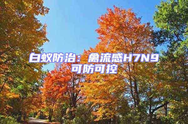 白蟻防治:禽流感H7N9可防可控