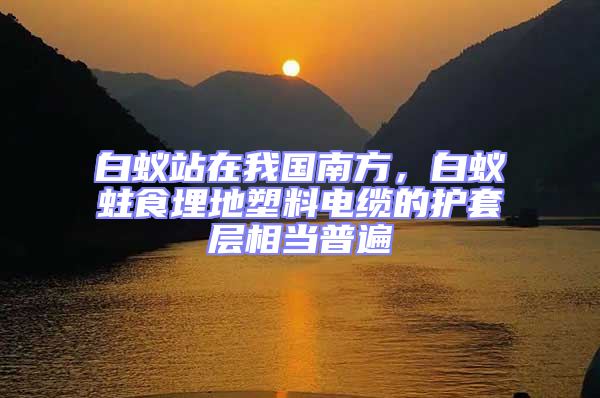 白蟻站在我國南方,白蟻蛀食埋地塑料電纜的護套層相當普遍