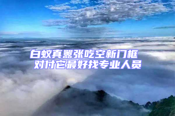 白蟻真囂張吃空新門框 對付它最好找專業人員