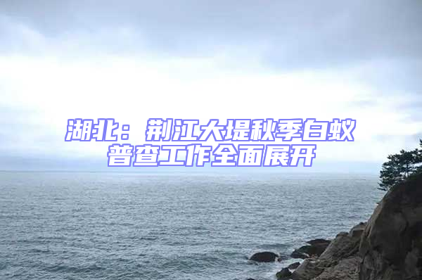 湖北:荊江大堤秋季白蟻普查工作全面展開