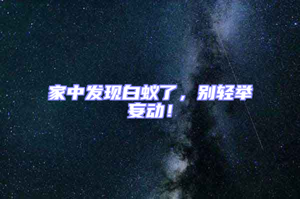 家中發現白蟻了,別輕舉妄動!