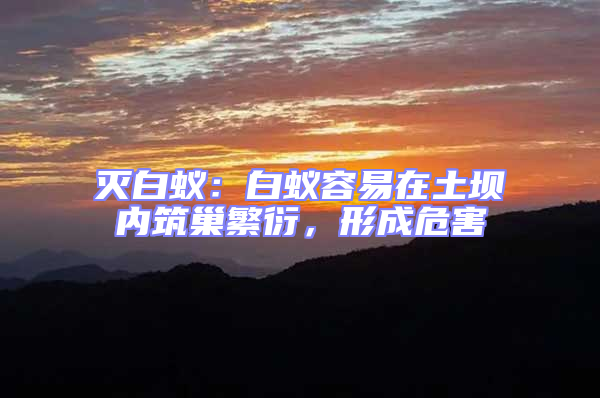 滅白蟻:白蟻容易在土壩內筑巢繁衍,形成危害